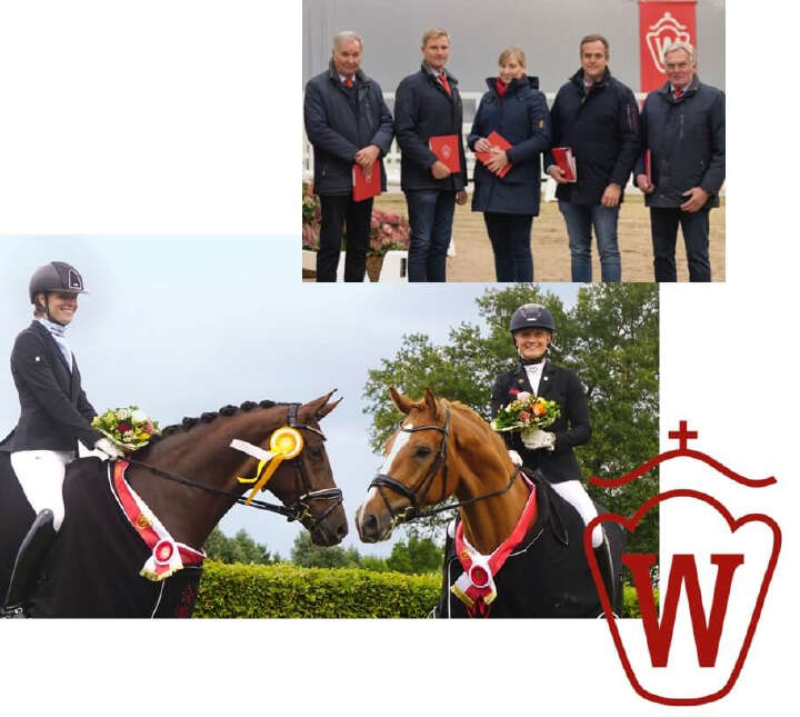 westfaelisches pferdestammbuch derby community banner